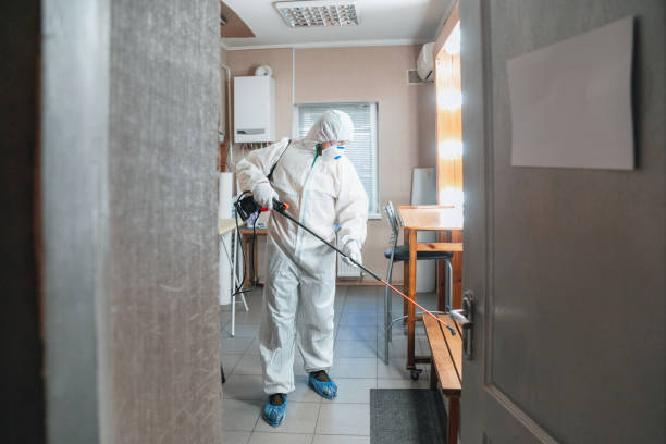 Best Mold Removal for HVAC Installations  in Oak Hill, WV