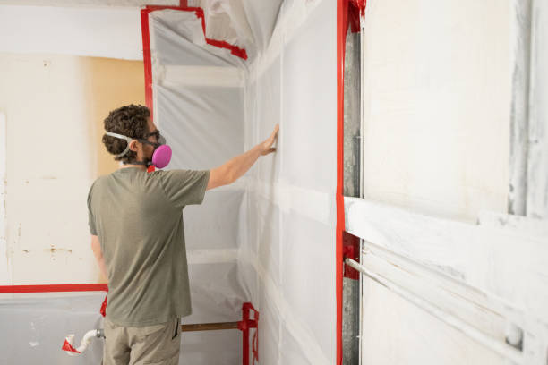 Environmental Consulting for Mold Prevention in Oak Hill, WV