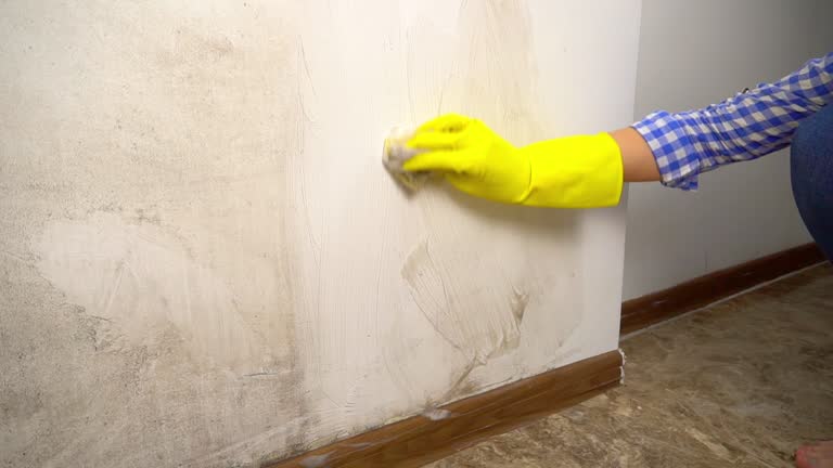 Best Residential Mold Inspection & Testing  in Oak Hill, WV