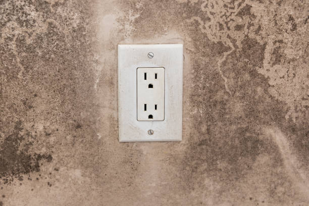 Mold Remediation for Vacation Homes in Oak Hill, WV